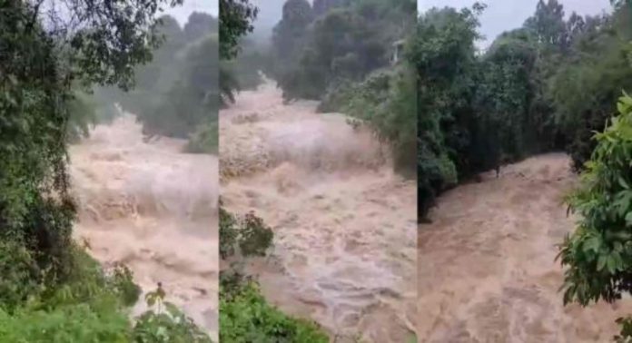 മുണ്ടക്കൈ-ചൂരൽമല ദുരന്തം ; വായ്പ എഴുതി തള്ളുന്നതിൽ അന്തിമതീരുമാനം എടുത്തിട്ടില്ലെന്ന് കേന്ദ്രസർക്കാർ ഹൈക്കോടതിയിൽ മുണ്ടക്കൈ-ചൂരൽമല ദുരന്തം ; വായ്പ എഴുതി തള്ളുന്നതിൽ അന്തിമതീരുമാനം എടുത്തിട്ടില്ലെന്ന് കേന്ദ്രസർക്കാർ ഹൈക്കോടതിയിൽ