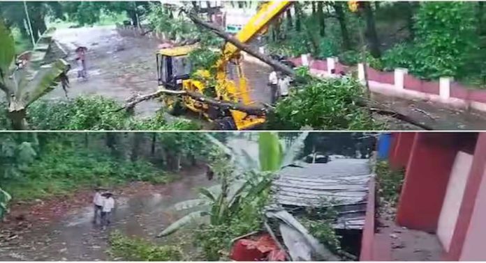 കനത്ത മഴയിൽ എറണാകുളം അങ്കമാലിയിലെ ഫയർഫോഴ്സ് ഓഫീസിന് മുകളിലേക്ക് മരം വീണു കനത്ത മഴയിൽ എറണാകുളം അങ്കമാലിയിലെ ഫയർഫോഴ്സ് ഓഫീസിന് മുകളിലേക്ക് മരം വീണു