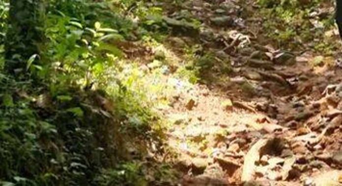 നാരങ്ങാനം പഞ്ചായത്തിലെ വളഞ്ഞിലേക്ക് മഠത്തുംപടി റോഡ് നന്നാക്കണമെന്ന ആവശ്യം ശക്തം നാരങ്ങാനം പഞ്ചായത്തിലെ വളഞ്ഞിലേക്ക് മഠത്തുംപടി റോഡ് നന്നാക്കണമെന്ന ആവശ്യം ശക്തം