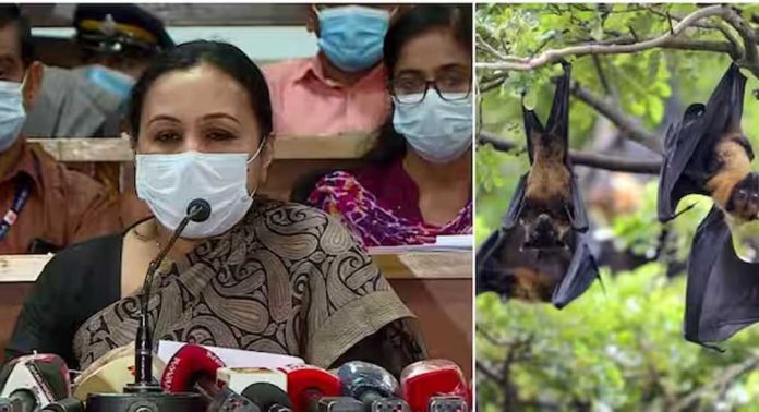 മലപ്പുറത്ത് 14 കാരന് നിപ ; പൂനെ വൈറോളജി ലാബിലെ പരിശോധനാഫലവും പോസിറ്റീവ് മലപ്പുറത്ത് 14 കാരന് നിപ ; പൂനെ വൈറോളജി ലാബിലെ പരിശോധനാഫലവും പോസിറ്റീവ്