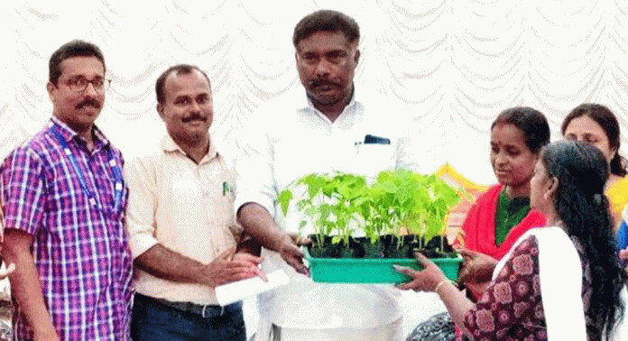 പുലിയൂർ ഗ്രാമപഞ്ചായത്തില് പപ്പായ ഗ്രാമം പദ്ധതിയ്ക്ക് തുടക്കമായി പുലിയൂർ ഗ്രാമപഞ്ചായത്തില് പപ്പായ ഗ്രാമം പദ്ധതിയ്ക്ക് തുടക്കമായി