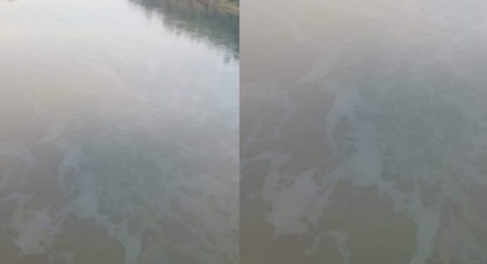 പമ്പാ നദിയിൽ എണ്ണപ്പാട ; പരിശോധിക്കാൻ മലിനീകരണ നിയന്ത്രണ ബോർഡിന് നിർദേശം പമ്പാ നദിയിൽ എണ്ണപ്പാട ; പരിശോധിക്കാൻ മലിനീകരണ നിയന്ത്രണ ബോർഡിന് നിർദേശം