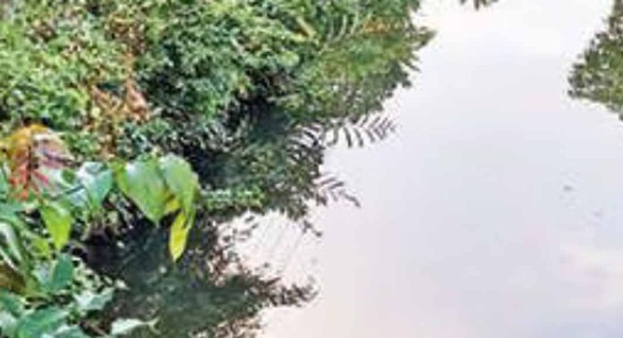 പൂച്ചാക്കൽ തോടുശുചീകരണം നടന്നില്ല പൂച്ചാക്കൽ തോടുശുചീകരണം നടന്നില്ല