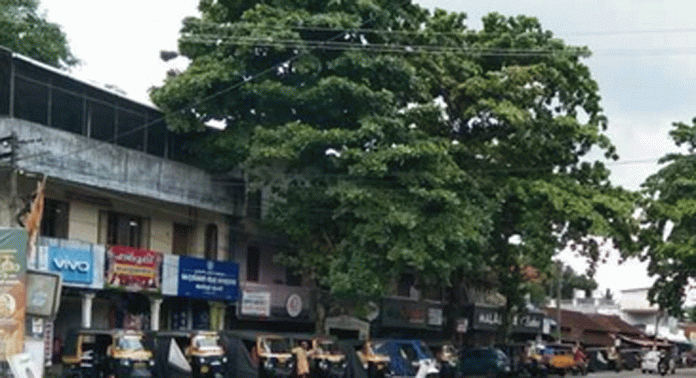 പൂങ്കാവ് ജംഗ്ഷനിൽ തണലൊരുക്കി നിൽക്കുന്ന മരങ്ങൾ അപകട ഭീഷണിയാകുന്നു പൂങ്കാവ് ജംഗ്ഷനിൽ തണലൊരുക്കി നിൽക്കുന്ന മരങ്ങൾ അപകട ഭീഷണിയാകുന്നു