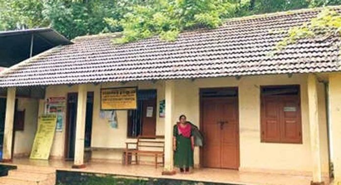 കോയിപ്രം മൃഗാശുപത്രി വളപ്പിൽനിൽക്കുന്ന തണൽമരങ്ങൾ നിലംപൊത്താവുന്ന അവസ്ഥയിൽ കോയിപ്രം മൃഗാശുപത്രി വളപ്പിൽനിൽക്കുന്ന തണൽമരങ്ങൾ നിലംപൊത്താവുന്ന അവസ്ഥയിൽ