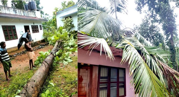 ശക്തമായ കാറ്റ് – റാന്നിയില് വന് നാശനഷ്ടം – ഉതിമൂട്ടില് വീടിന്റെ മേല്ക്കൂര പറന്നുപോയി – പല സ്ഥലവും ഇരുട്ടില് ശക്തമായ കാറ്റ് – റാന്നിയില് വന് നാശനഷ്ടം – ഉതിമൂട്ടില് വീടിന്റെ മേല്ക്കൂര പറന്നുപോയി – പല സ്ഥലവും ഇരുട്ടില്