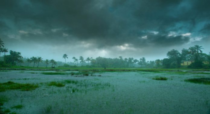 ഇടിമിന്നലും കാറ്റും ; വരുന്നത് അതിതീവ്ര മഴ : മുഴുവൻ ജില്ലകളിലും ജാഗ്രതാ മുന്നറിയിപ്പ് ഇടിമിന്നലും കാറ്റും ; വരുന്നത് അതിതീവ്ര മഴ : മുഴുവൻ ജില്ലകളിലും ജാഗ്രതാ മുന്നറിയിപ്പ്