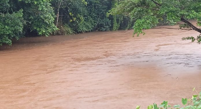 കോന്നി ചെമ്മാനി എസ്റ്റേറ്റിലെ പാറമടയിൽ നിന്നുള്ള മാലിന്യങ്ങളും വിഷവസ്തുക്കളും കല്ലാറില് എത്തുന്നതായി പരാതി കോന്നി ചെമ്മാനി എസ്റ്റേറ്റിലെ പാറമടയിൽ നിന്നുള്ള മാലിന്യങ്ങളും വിഷവസ്തുക്കളും കല്ലാറില് എത്തുന്നതായി പരാതി