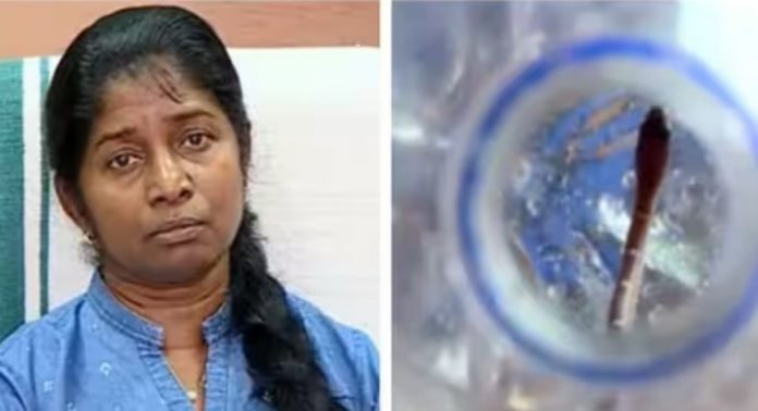 പാമ്പുകടിയേറ്റ യുവതി നിരീക്ഷണത്തിൽ ; രക്തസാമ്പിളുകളിൽ വിഷമില്ല ; ഇന്ന് വീണ്ടും പരിശോധിക്കും – സൂപ്രണ്ട് പാമ്പുകടിയേറ്റ യുവതി നിരീക്ഷണത്തിൽ ; രക്തസാമ്പിളുകളിൽ വിഷമില്ല ; ഇന്ന് വീണ്ടും പരിശോധിക്കും – സൂപ്രണ്ട്