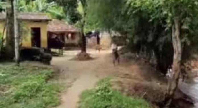 കേരളത്തില് മഴ പെയ്താലും തമിഴ്നാട്ടില് മഴ പെയ്താലും ദുരിതത്തിലാകുന്നത് നൂല്പ്പുഴ പുത്തൂർ കോളനിക്കാർ കേരളത്തില് മഴ പെയ്താലും തമിഴ്നാട്ടില് മഴ പെയ്താലും ദുരിതത്തിലാകുന്നത് നൂല്പ്പുഴ പുത്തൂർ കോളനിക്കാർ