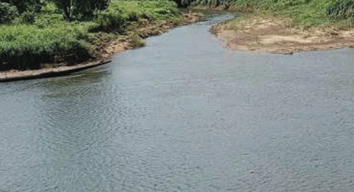 വരട്ടാർ-ആദിപമ്പയുടെ പുനരുജ്ജീവനത്തിനായി കർമപദ്ധതി തയ്യാറാക്കുന്നു വരട്ടാർ-ആദിപമ്പയുടെ പുനരുജ്ജീവനത്തിനായി കർമപദ്ധതി തയ്യാറാക്കുന്നു