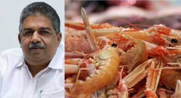 കടലാമ സംരക്ഷണത്തിന്റെ പേരിൽ കടൽ ചെമ്മീൻ കയറ്റുമതി വിലക്ക് ; കേന്ദ്രത്തിലേക്ക് പ്രതിനിധി സംഘത്തെ അയക്കാൻ സർക്കാർ കടലാമ സംരക്ഷണത്തിന്റെ പേരിൽ കടൽ ചെമ്മീൻ കയറ്റുമതി വിലക്ക് ; കേന്ദ്രത്തിലേക്ക് പ്രതിനിധി സംഘത്തെ അയക്കാൻ സർക്കാർ