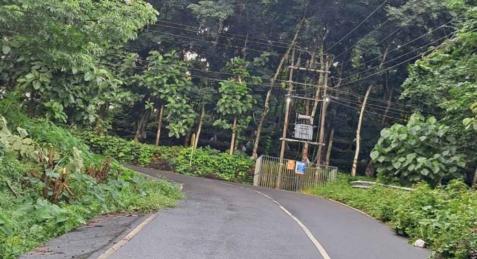 മടന്തമൺ – വെച്ചൂച്ചിറ റോഡിലെ കൊടും വളവുകളിൽ കാഴ്ച്ച മറച്ച് നിന്ന കാടും മരങ്ങളും ഉൾപ്പെടെ മുറിച്ചു നീക്കി മടന്തമൺ – വെച്ചൂച്ചിറ റോഡിലെ കൊടും വളവുകളിൽ കാഴ്ച്ച മറച്ച് നിന്ന കാടും മരങ്ങളും ഉൾപ്പെടെ മുറിച്ചു നീക്കി