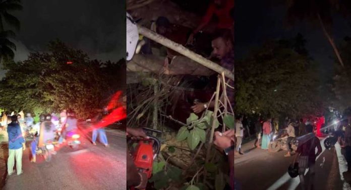തിരുവനന്തപുരം വഴയില ആറാം കല്ലിൽ ആൽമരം കടപുഴകി വാഹനത്തിന് മുകളിൽ വീണ് പരുക്കേറ്റ സ്ത്രീ മരിച്ചു തിരുവനന്തപുരം വഴയില ആറാം കല്ലിൽ ആൽമരം കടപുഴകി വാഹനത്തിന് മുകളിൽ വീണ് പരുക്കേറ്റ സ്ത്രീ മരിച്ചു