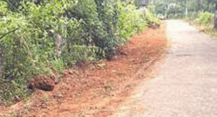 പള്ളിക്കൽ കള്ളപ്പൻചിറ-കൈതയ്ക്കൽ ഭാഗത്തെ റോഡരികിലെ മാലിന്യം തള്ളുന്നതിന് പ്രധാന കാരണമായ കാട് നീക്കംചെയ്ത് പൊതുമരാമത്ത് പള്ളിക്കൽ കള്ളപ്പൻചിറ-കൈതയ്ക്കൽ ഭാഗത്തെ റോഡരികിലെ മാലിന്യം തള്ളുന്നതിന് പ്രധാന കാരണമായ കാട് നീക്കംചെയ്ത് പൊതുമരാമത്ത്