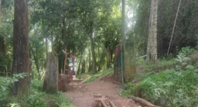 നൂല്പ്പുഴയില് കാട്ടാനശല്യം രൂക്ഷം നൂല്പ്പുഴയില് കാട്ടാനശല്യം രൂക്ഷം