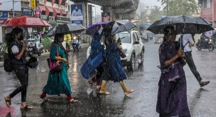 സംസ്ഥാനത്ത് പരക്കെ മഴയ്ക്ക് സാധ്യത ; രണ്ട് ജില്ലകളിൽ ഓറഞ്ച് അലേർട്ട് സംസ്ഥാനത്ത് പരക്കെ മഴയ്ക്ക് സാധ്യത ; രണ്ട് ജില്ലകളിൽ ഓറഞ്ച് അലേർട്ട്