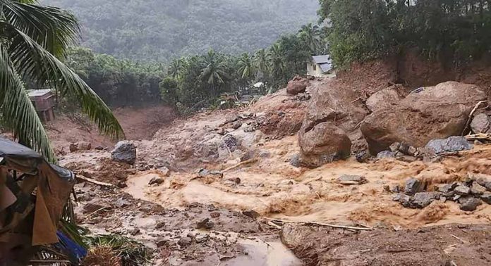 വയനാട് വെള്ളാര്മല സ്കൂളിന് സമീപം ലക്ഷങ്ങളുടെ നോട്ടുകെട്ടുകള് കണ്ടെത്തി വയനാട് വെള്ളാര്മല സ്കൂളിന് സമീപം ലക്ഷങ്ങളുടെ നോട്ടുകെട്ടുകള് കണ്ടെത്തി