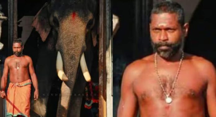 പ്രശസ്ത ആനപാപ്പാൻ ബിനോയ് നിര്യാതനായി പ്രശസ്ത ആനപാപ്പാൻ ബിനോയ് നിര്യാതനായി