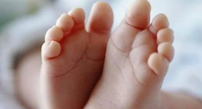 നവജാത ശിശുവിനെ കൊന്ന് കുഴിച്ചുമൂടി ; രണ്ട് യുവാക്കൾ അറസ്റ്റിൽ നവജാത ശിശുവിനെ കൊന്ന് കുഴിച്ചുമൂടി ; രണ്ട് യുവാക്കൾ അറസ്റ്റിൽ