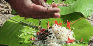 ഇന്ന് കർക്കിടക വാവ് ; പിതൃപുണ്യം തേടി ആയിരങ്ങൾ ; ക്ഷേത്രങ്ങളിലും പ്രത്യേക ബലി തർപ്പണ കേന്ദ്രങ്ങളിലും പുലർച്ചെ മുതൽ വൻ തിരക്ക്