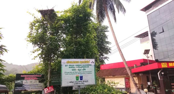 പെരുന്തേനരുവിയില് ടൂറിസം സ്ഥലത്തേക്കുള്ള തെരുവു വിളക്കുകള് കത്താതായിട്ട് നാളുകളായി പെരുന്തേനരുവിയില് ടൂറിസം സ്ഥലത്തേക്കുള്ള തെരുവു വിളക്കുകള് കത്താതായിട്ട് നാളുകളായി