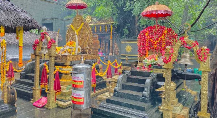 പിതൃ സ്മരണ പുതുക്കി കോന്നി കല്ലേലി കാവില് 1001 മുറുക്കാന് സമര്പ്പണവും വാവൂട്ടും പിതൃ സ്മരണ പുതുക്കി കോന്നി കല്ലേലി കാവില് 1001 മുറുക്കാന് സമര്പ്പണവും വാവൂട്ടും