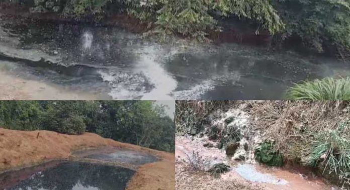 ആസിഡ് അടങ്ങിയ മലിന ജലമൊഴുകി ഏക്കറുകണക്കിന് കൃഷി നശിച്ചതായി നാട്ടുകാരുടെ പരാതി ആസിഡ് അടങ്ങിയ മലിന ജലമൊഴുകി ഏക്കറുകണക്കിന് കൃഷി നശിച്ചതായി നാട്ടുകാരുടെ പരാതി