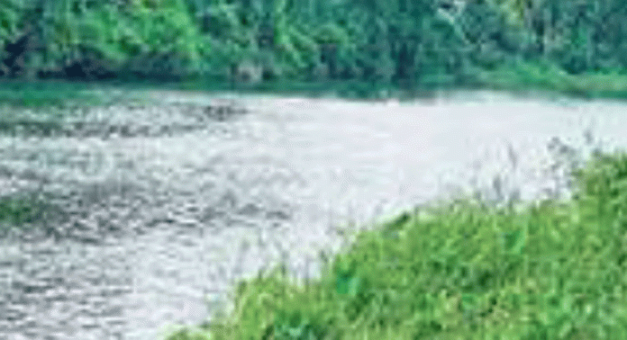 പമ്പയുടെ തീരമിടിഞ്ഞില്ലാതാകുമ്പോഴും നദിയുടെ രക്ഷയ്ക്കായി പ്രഖ്യാപിച്ച പമ്പ കർമപദ്ധതിക്ക് ശാപമോക്ഷമായില്ല പമ്പയുടെ തീരമിടിഞ്ഞില്ലാതാകുമ്പോഴും നദിയുടെ രക്ഷയ്ക്കായി പ്രഖ്യാപിച്ച പമ്പ കർമപദ്ധതിക്ക് ശാപമോക്ഷമായില്ല
