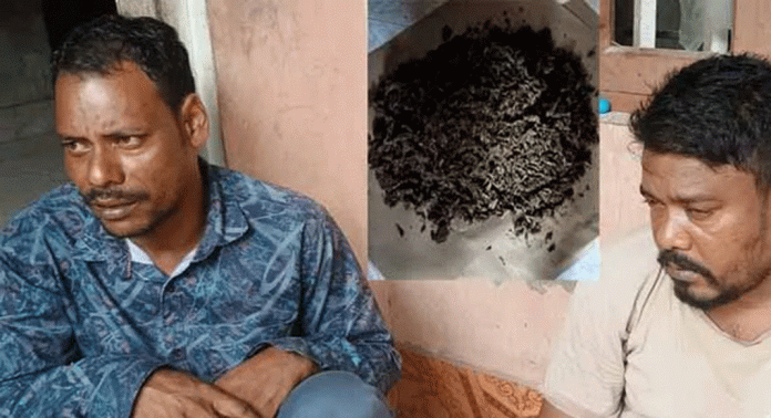 പത്തനംതിട്ടയില് മൂന്നര കിലോ കഞ്ചാവുമായി രണ്ട് ആസാം സ്വദേശികള് പിടിയില് പത്തനംതിട്ടയില് മൂന്നര കിലോ കഞ്ചാവുമായി രണ്ട് ആസാം സ്വദേശികള് പിടിയില്