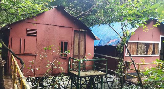 നാശോന്മുഖമായി അടവിയിലെ മുളംങ്കുടിലുകൾ നാശോന്മുഖമായി അടവിയിലെ മുളംങ്കുടിലുകൾ