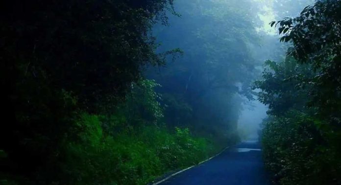 കനത്ത മഴയിൽ റോഡുകളില് അപകടസാധ്യത ; അതിരപ്പിള്ളി-മലക്കപ്പാറ പാതയിൽ യാത്രാ നിയന്ത്രണം തുടരും കനത്ത മഴയിൽ റോഡുകളില് അപകടസാധ്യത ; അതിരപ്പിള്ളി-മലക്കപ്പാറ പാതയിൽ യാത്രാ നിയന്ത്രണം തുടരും