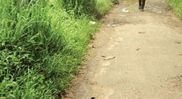 അറ്റകുറ്റപ്പണി ചെയ്യാതെ പയ്യനാമൺ, കുപ്പക്കര, വട്ടമൺ റോഡ് അറ്റകുറ്റപ്പണി ചെയ്യാതെ പയ്യനാമൺ, കുപ്പക്കര, വട്ടമൺ റോഡ്