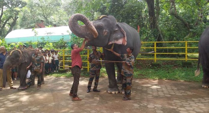 കോന്നി ഇക്കോടൂറിസം കേന്ദ്രത്തിൽ ആയിരത്തോളം വിദ്യാർത്ഥികൾ പങ്കെടുത്ത് ആനയൂട്ട് നടന്നു കോന്നി ഇക്കോടൂറിസം കേന്ദ്രത്തിൽ ആയിരത്തോളം വിദ്യാർത്ഥികൾ പങ്കെടുത്ത് ആനയൂട്ട് നടന്നു