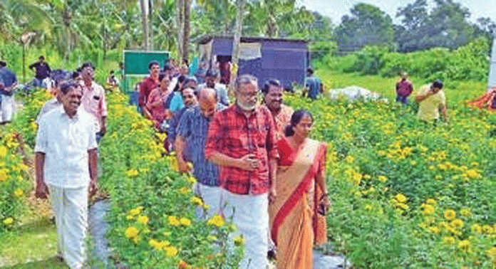 തിരുവിഴയിൽ കർഷക കൂട്ടായ്മ തുടങ്ങിയ പുഷ്പപ്രദർശനത്തിലെ വരുമാനം വയനാട്ടുകാർക്ക് തിരുവിഴയിൽ കർഷക കൂട്ടായ്മ തുടങ്ങിയ പുഷ്പപ്രദർശനത്തിലെ വരുമാനം വയനാട്ടുകാർക്ക്
