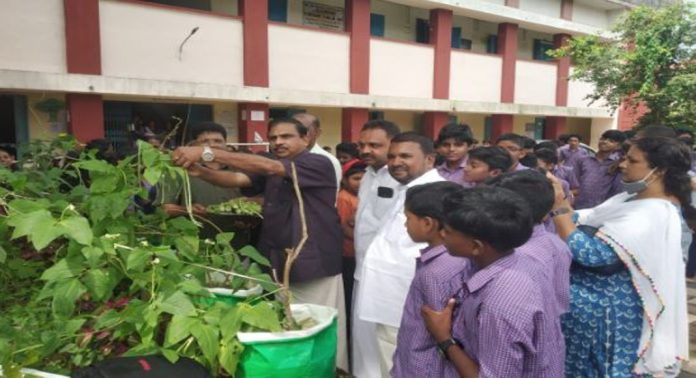 തോട്ടക്കോണം ഗവ. ഹയർ സെക്കണ്ടറി സ്കൂളിലെ കൃഷിയുടെ ആദ്യ ഘട്ട വിളവെടുപ്പ് നടന്നു തോട്ടക്കോണം ഗവ. ഹയർ സെക്കണ്ടറി സ്കൂളിലെ കൃഷിയുടെ ആദ്യ ഘട്ട വിളവെടുപ്പ് നടന്നു