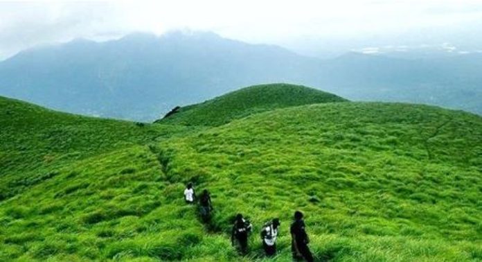 ഉരുൾപൊട്ടൽ ദുരന്തത്തിന്റെ ആഘാതത്തിൽ നിന്ന് കരകയറാതെ വയനാട് ; സഞ്ചാരികളുടെ എണ്ണത്തിൽ വൻ കുറവ്, നഷ്ടം 20 കോടിയിലധികമെന്ന് റിപ്പോർട്ടുകൾ ഉരുൾപൊട്ടൽ ദുരന്തത്തിന്റെ ആഘാതത്തിൽ നിന്ന് കരകയറാതെ വയനാട് ; സഞ്ചാരികളുടെ എണ്ണത്തിൽ വൻ കുറവ്, നഷ്ടം 20 കോടിയിലധികമെന്ന് റിപ്പോർട്ടുകൾ