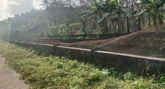 കുടമുരുട്ടി- പെരുന്തേനരുവി മേഖലയിൽ കാട്ടാന ശല്യം രൂക്ഷമാകുന്നു ; നാട്ടുകാർ ഭീതിയിൽ കുടമുരുട്ടി- പെരുന്തേനരുവി മേഖലയിൽ കാട്ടാന ശല്യം രൂക്ഷമാകുന്നു ; നാട്ടുകാർ ഭീതിയിൽ