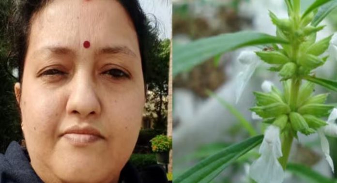 വീട്ടമ്മയുടെ അസ്വാഭാവിക മരണം ; തുമ്പപ്പൂ തോരൻ കഴിച്ചല്ല, പോസ്റ്റ് മോര്ട്ടം റിപ്പോര്ട്ട് പുറത്ത് വീട്ടമ്മയുടെ അസ്വാഭാവിക മരണം ; തുമ്പപ്പൂ തോരൻ കഴിച്ചല്ല, പോസ്റ്റ് മോര്ട്ടം റിപ്പോര്ട്ട് പുറത്ത്