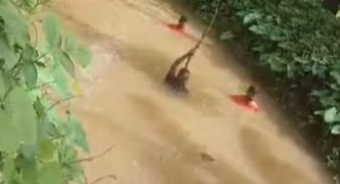 തേങ്ങകള് പെറുക്കാൻ തോട്ടിലിറങ്ങിയ യുവാവിനെ കാണാതായി തേങ്ങകള് പെറുക്കാൻ തോട്ടിലിറങ്ങിയ യുവാവിനെ കാണാതായി