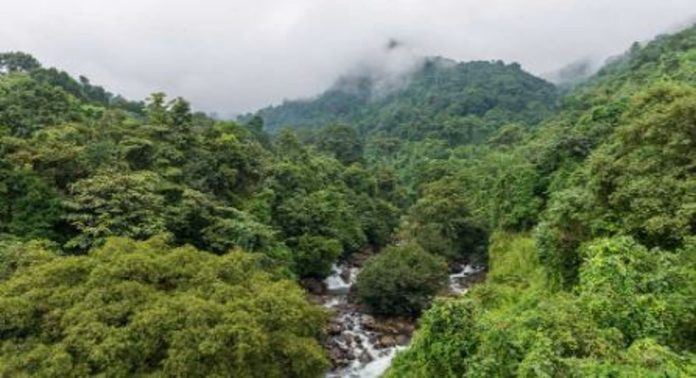 ഈ ജില്ലയിൽ ഉരുൾപൊട്ടൽ സാധ്യത വളരെ കൂടുതൽ ; ഞെട്ടിപ്പിക്കുന്ന റിപ്പോർട്ടുകൾ പുറത്ത് ഈ ജില്ലയിൽ ഉരുൾപൊട്ടൽ സാധ്യത വളരെ കൂടുതൽ ; ഞെട്ടിപ്പിക്കുന്ന റിപ്പോർട്ടുകൾ പുറത്ത്