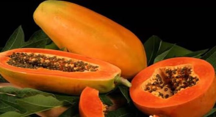മുഖത്തെ ചുളിവുകളും പാടുകളും മാറ്റാന് പപ്പായ ഇങ്ങനെ ഉപയോഗിക്കൂ ; അറിയാം… മുഖത്തെ ചുളിവുകളും പാടുകളും മാറ്റാന് പപ്പായ ഇങ്ങനെ ഉപയോഗിക്കൂ ; അറിയാം…