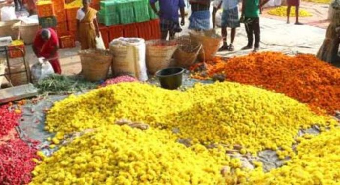 കേരളത്തിൽ ചിങ്ങം പിറന്നു ; പൂ വിപണിയായ തോവാള ഉണർന്നു കേരളത്തിൽ ചിങ്ങം പിറന്നു ; പൂ വിപണിയായ തോവാള ഉണർന്നു