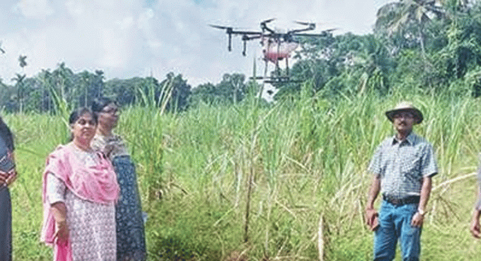കല്ലുങ്കൽ കാർഷിക ഗവേഷണകേന്ദ്രത്തിൽ പരീക്ഷണാടിസ്ഥാനത്തിൽ ഡ്രോൺ ഉപയോഗിച്ച് കരിമ്പിൽ വളപ്രയോഗം നടത്തി കല്ലുങ്കൽ കാർഷിക ഗവേഷണകേന്ദ്രത്തിൽ പരീക്ഷണാടിസ്ഥാനത്തിൽ ഡ്രോൺ ഉപയോഗിച്ച് കരിമ്പിൽ വളപ്രയോഗം നടത്തി