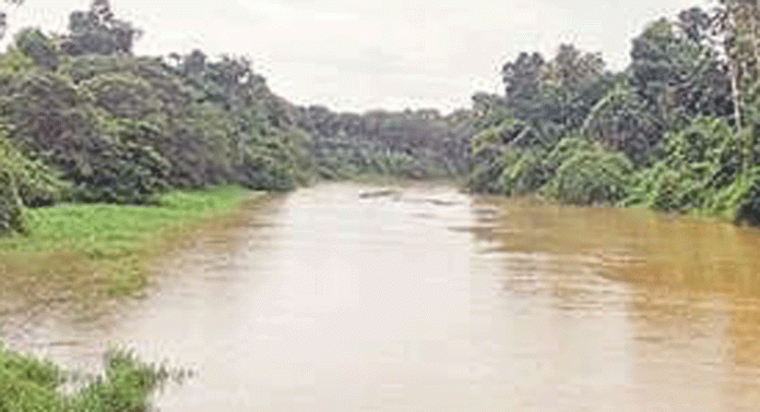 മഴ കനത്തതോടെ കല്ലടയാറ്റിൽ ജലനിരപ്പ് ഉയർന്നു മഴ കനത്തതോടെ കല്ലടയാറ്റിൽ ജലനിരപ്പ് ഉയർന്നു
