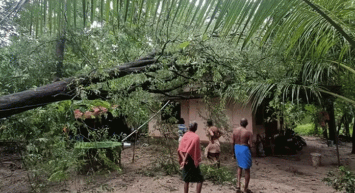 കനത്ത മഴയിലും കാറ്റിലും കോട്ടയം ജില്ലയിൽ വ്യാപക നാശനഷ്ടം കനത്ത മഴയിലും കാറ്റിലും കോട്ടയം ജില്ലയിൽ വ്യാപക നാശനഷ്ടം