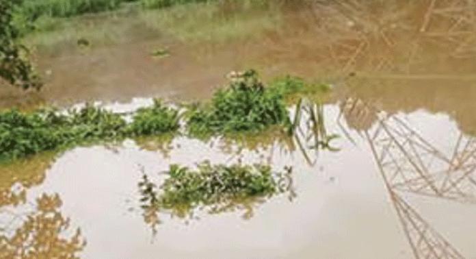 വെള്ളപ്പൊക്ക ആശങ്കയില് മണിമലയാര് തീരം വെള്ളപ്പൊക്ക ആശങ്കയില് മണിമലയാര് തീരം