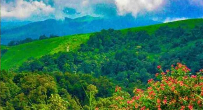 ആശങ്ക ഒഴിയാതെ കോന്നി ; ഉരുൾപൊട്ടൽ ഭീഷണിയിൽ പൊന്തനാംകുഴി, തേക്കുതോട് പൂച്ചക്കുളം ആശങ്ക ഒഴിയാതെ കോന്നി ; ഉരുൾപൊട്ടൽ ഭീഷണിയിൽ പൊന്തനാംകുഴി, തേക്കുതോട് പൂച്ചക്കുളം