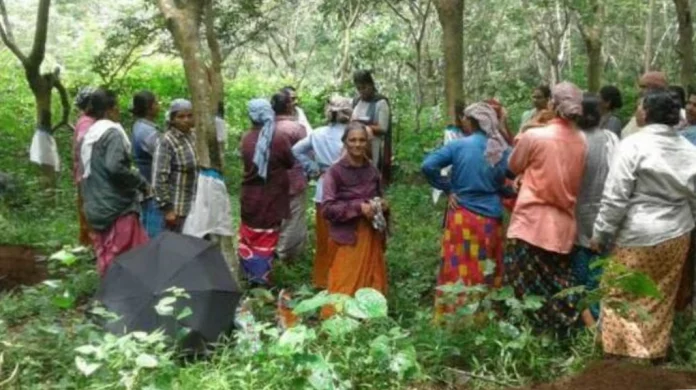 പറമ്പിൽ അതിക്രമിച്ചു കയറി മരം മുറിച്ചു : തൊഴിലുറപ്പ് തൊഴിലാളികൾ 10 ലക്ഷം രൂപ നഷ്ടപരിഹാരം നൽകാൻ വിധി പറമ്പിൽ അതിക്രമിച്ചു കയറി മരം മുറിച്ചു : തൊഴിലുറപ്പ് തൊഴിലാളികൾ 10 ലക്ഷം രൂപ നഷ്ടപരിഹാരം നൽകാൻ വിധി