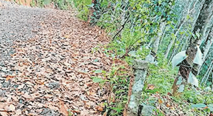 മന്ദമരുതി–കക്കുടുമൺ–പേമരുതി–അത്തിക്കയം റോഡില് സംരക്ഷണഭിത്തി നിർമിക്കുന്നില്ലെന്നു പരാതി മന്ദമരുതി–കക്കുടുമൺ–പേമരുതി–അത്തിക്കയം റോഡില് സംരക്ഷണഭിത്തി നിർമിക്കുന്നില്ലെന്നു പരാതി